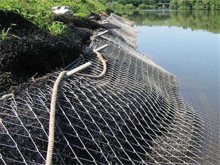 鈦克網(wǎng)案例