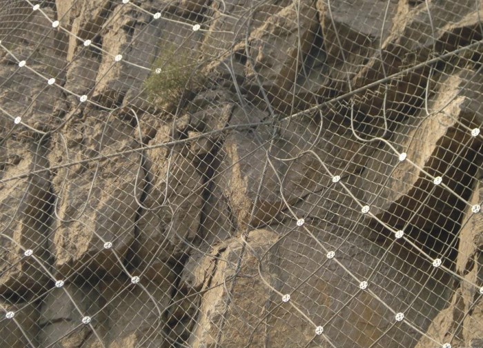 主動(dòng)網(wǎng)案例